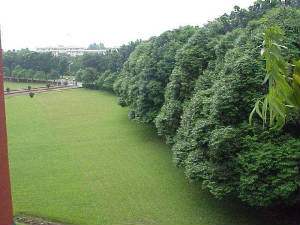 greencampus.jpg