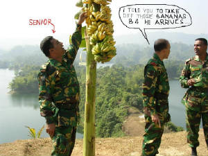 hudabanana.jpg
