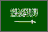 sa-t.gif